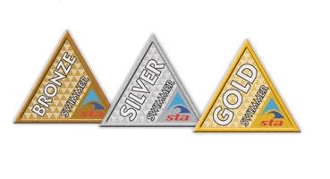 Bronze, Silver and Gold - Advanced Skills Series