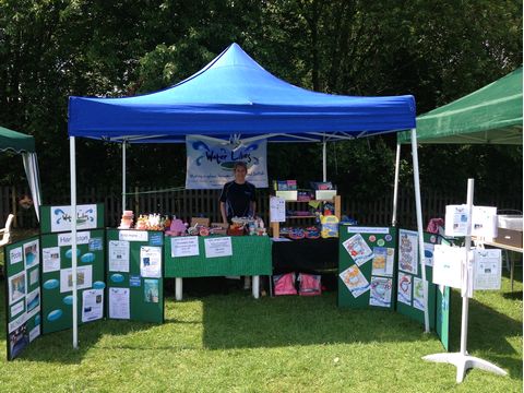 WLSS at Harleston School Fete